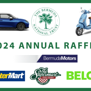 BNT Raffle 2024