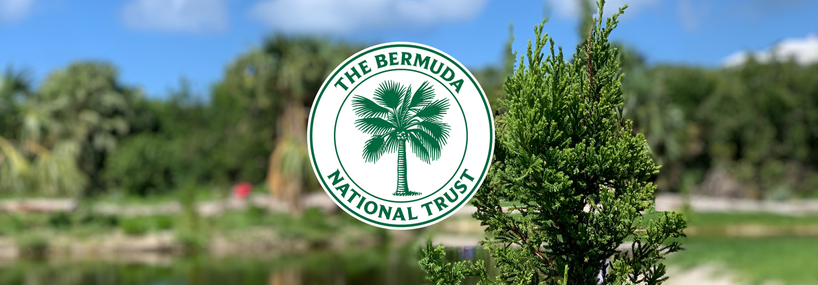 Community Volunteer Day: Waterville Gardens
