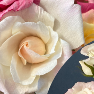 Members - Paper Flower Workshop