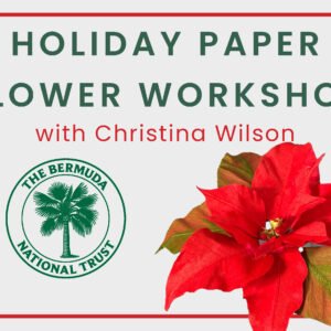 Non Members: Holiday Paper Flower Workshop
