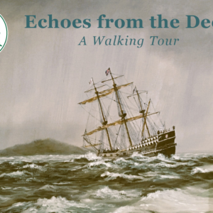 Non Members: Echoes from the Deep