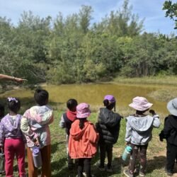 CNW3 - Spittal Pond
