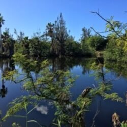 Somerset-Long-Bay-400x300