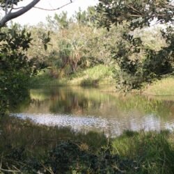 Somerset Long Bay Pond from west 3