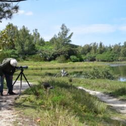 Spittal Pond10