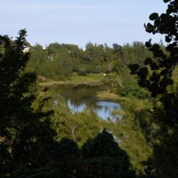 Spittal Pond2